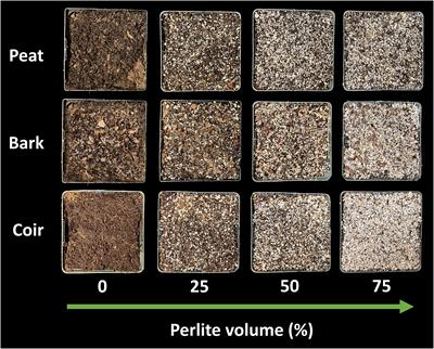 Advantages of a novel in situ pH measurement for soilless media